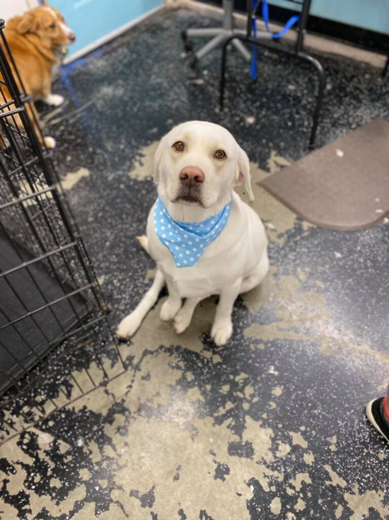 133387327 2953201541487947 5069218833843326827 n 1.jpg