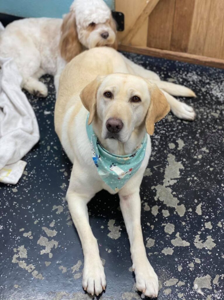 133697151 2953201531487948 2015813408650869409 n 1.jpg