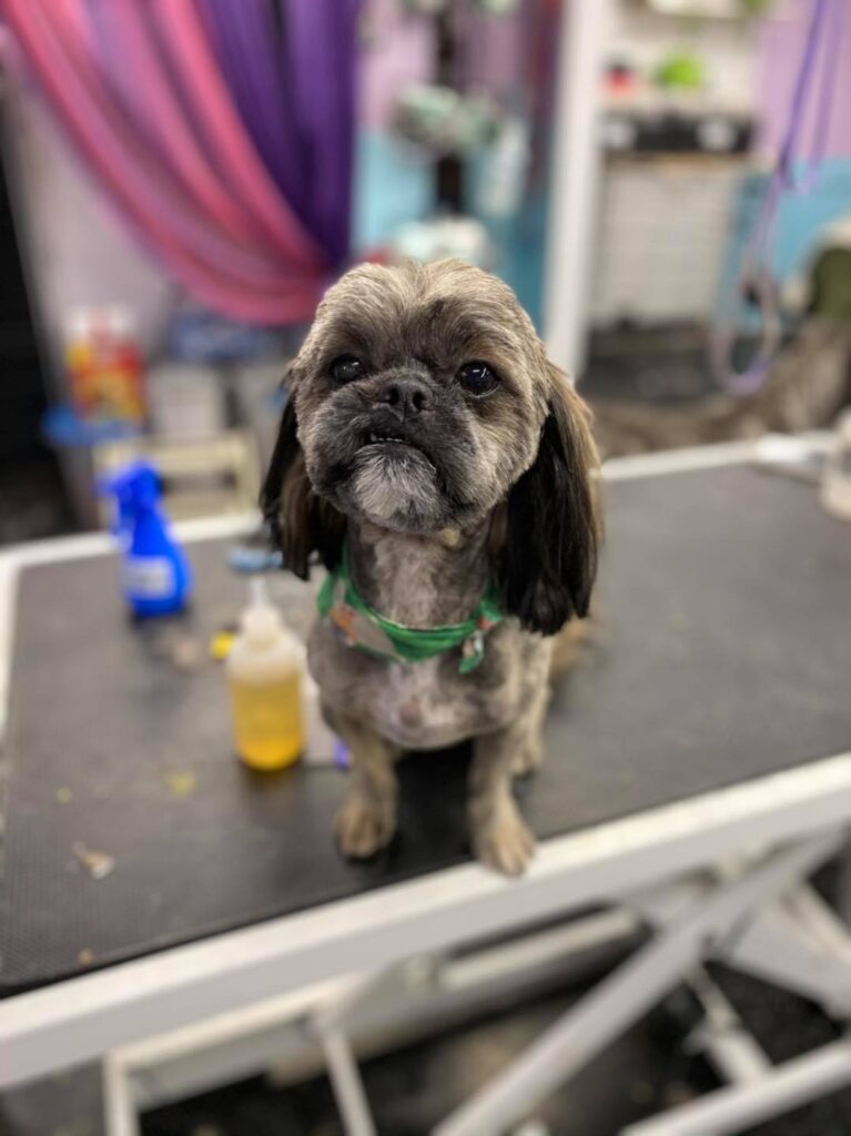 133889976 2953201238154644 7125389942766080195 n.jpg