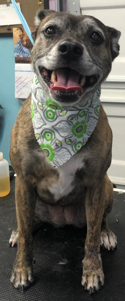 94582220 2729058520568918 2875569020868755456 n.jpg