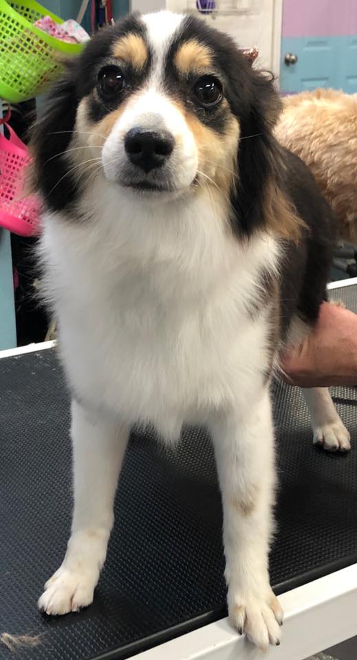 94798394 2729063820568388 8157039439462268928 n 1.jpg